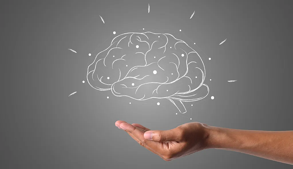 Transform Blind Spots